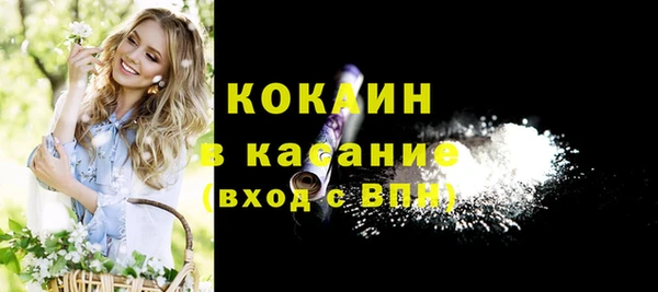 шишки Верея