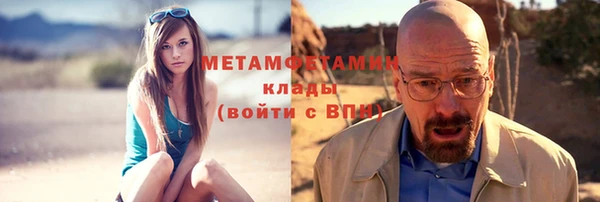 шишки Верея