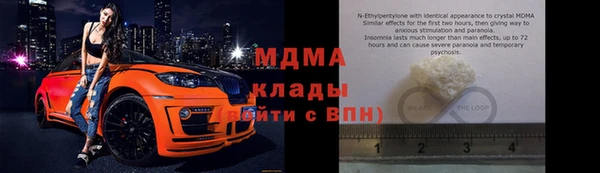 шишки Верея