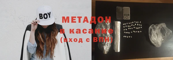 шишки Верея
