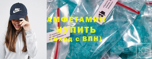 шишки Верея