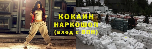 шишки Верея